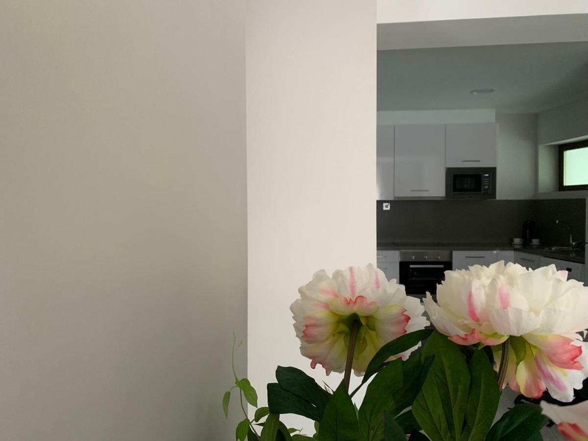 Apartamentos M.Bell León Dış mekan fotoğraf